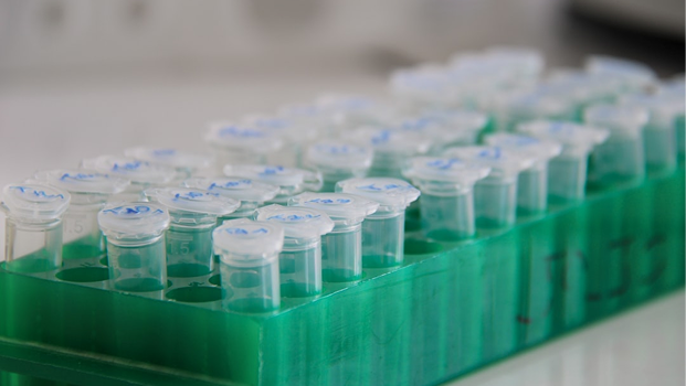 Medical Data Visualization